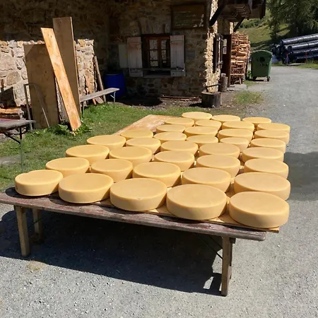 Appartamento In 1500 M In - Out *