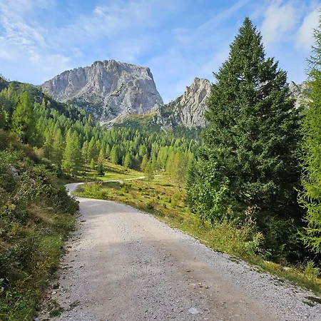 Appartamento In 1500 M In - Out Sonnenalpe Nassfeld